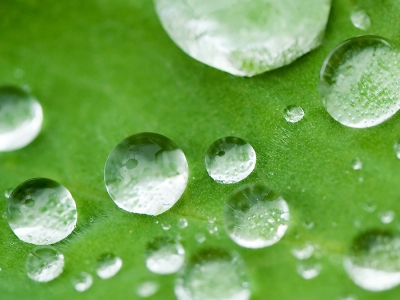 無氟防水劑